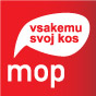 merjenje oglasnega prostora