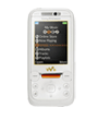 Sony Ericsson W850i