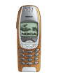 Nokia 6310