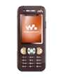 Sony Ericsson W890i